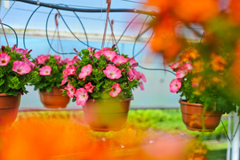 Pokaż mamie, że jest dla ciebie ważna