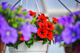 Pokaż mamie, że jest dla ciebie ważna