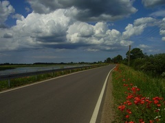 Wycieczka rowerowa na Kępę Rybackę zdjęcie nr 224153