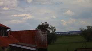 Na rower z portEl.pl  (odc. 1) 