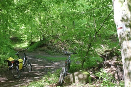 Mleczko w Bibliotece