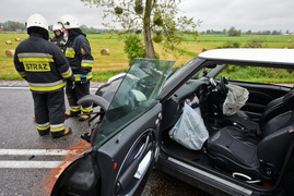 Wypadek na drodze do Malborka