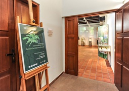 Waleczni, lecz zapomniani