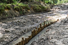 Umacniają brzegi Srebrnego Potoku. Ekolodzy: To jest niszczenie tej rzeki