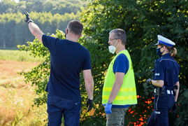Wypadek na drodze 503. Jedna osoba nie żyje