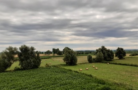 Na rower z portEl.pl: Do pochylni Jelenie (odc. 9) 