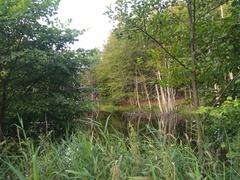 Na rower z portEl.pl: Do Jeleniej Doliny