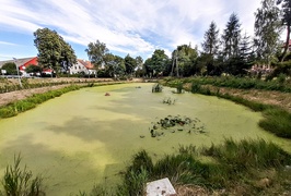Na rower z portEl.pl: Do Fiszewa