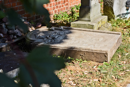 Historyczne odkrycie w parku Traugutta. Co jeszcze może skrywać dawny cmentarz?