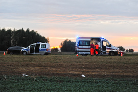 Dachowanie i kolizja w Nowym Dworze Elbląskim