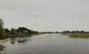 Na rower z portEl.pl: Rezerwat Przyrody Ujście Nogatu