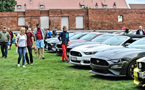 Mustangi zaparkowały na dziedzińcu muzeum