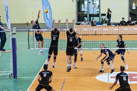 Gdańskie Lwy pokonane po raz drugi