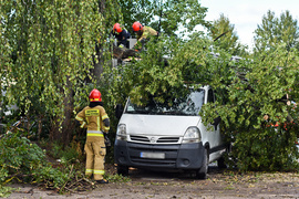 Wichura powaliła drzewo na nissana