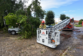Wichura powaliła drzewo na nissana