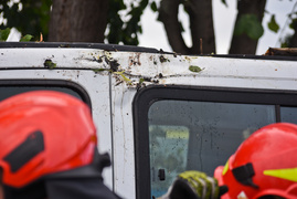 Wichura powaliła drzewo na nissana