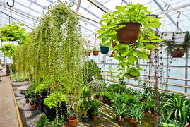 Przygotuj swój ogród na jesień