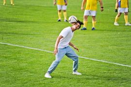 Charytatywnie dla Erwiny