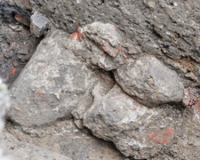 Archeologiczne odkrycie w pobliżu muzeum. Naukowcy odnaleźli fragmenty średniowiecznej baszty zdjęcie nr 230226