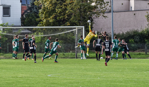 Sokół odleciał z punktami