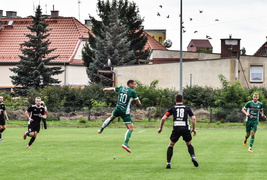 Sokół odleciał z punktami