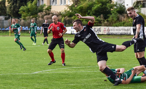 Sokół odleciał z punktami