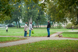 Ponad dwadzieścia mandatów za brak maseczek