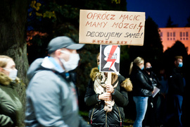 Kolejny protest w Elblągu. zdjęcie nr 232099