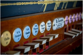 Gmina Godkowo w obiektywie. Jesienny plener „Tańcząc z kotami”