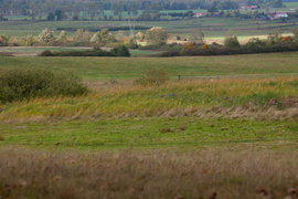 Gmina Godkowo w obiektywie. Jesienny plener „Tańcząc z kotami”