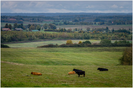 Gmina Godkowo w obiektywie. Jesienny plener „Tańcząc z kotami”