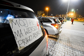 Protestujący: PiS jak kot