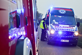 Kobieta kierująca audi uderzyła w drzewo