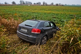 Kobieta kierująca audi uderzyła w drzewo