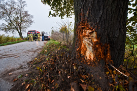 Kobieta kierująca audi uderzyła w drzewo