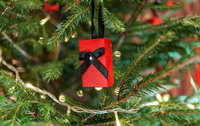 Na święta... Elbląscy kameraliści