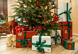 Na święta... Elbląscy kameraliści