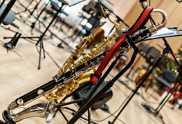 Na święta... Elbląscy kameraliści