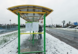 Zielony autobus ulicami miasta mknie...  (nasz raport z funkcjonowania miejskiej komunikacji) 