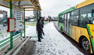 Zielony autobus ulicami miasta mknie...  (nasz raport z funkcjonowania miejskiej komunikacji) 