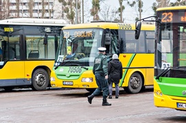 Zielony autobus ulicami miasta mknie...  (nasz raport z funkcjonowania miejskiej komunikacji) 