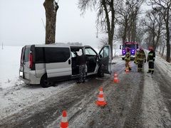 Bus uderzył w drzewo