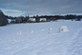 Zimowa armia bałwanów Zimowa armia bałwanów
