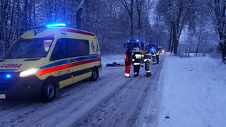 Toyotą uderzył w drzewo